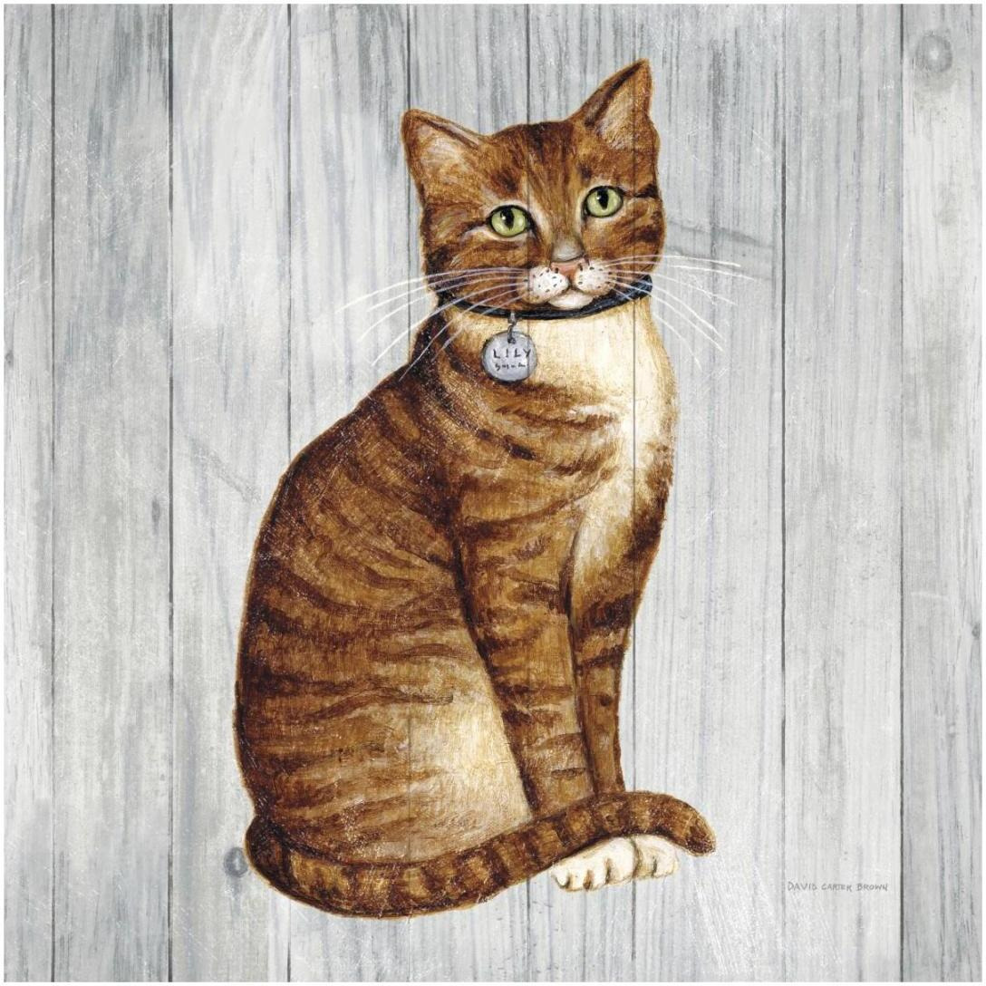 Country Kitty IV on Wood -Paper Art-20&quotx20"