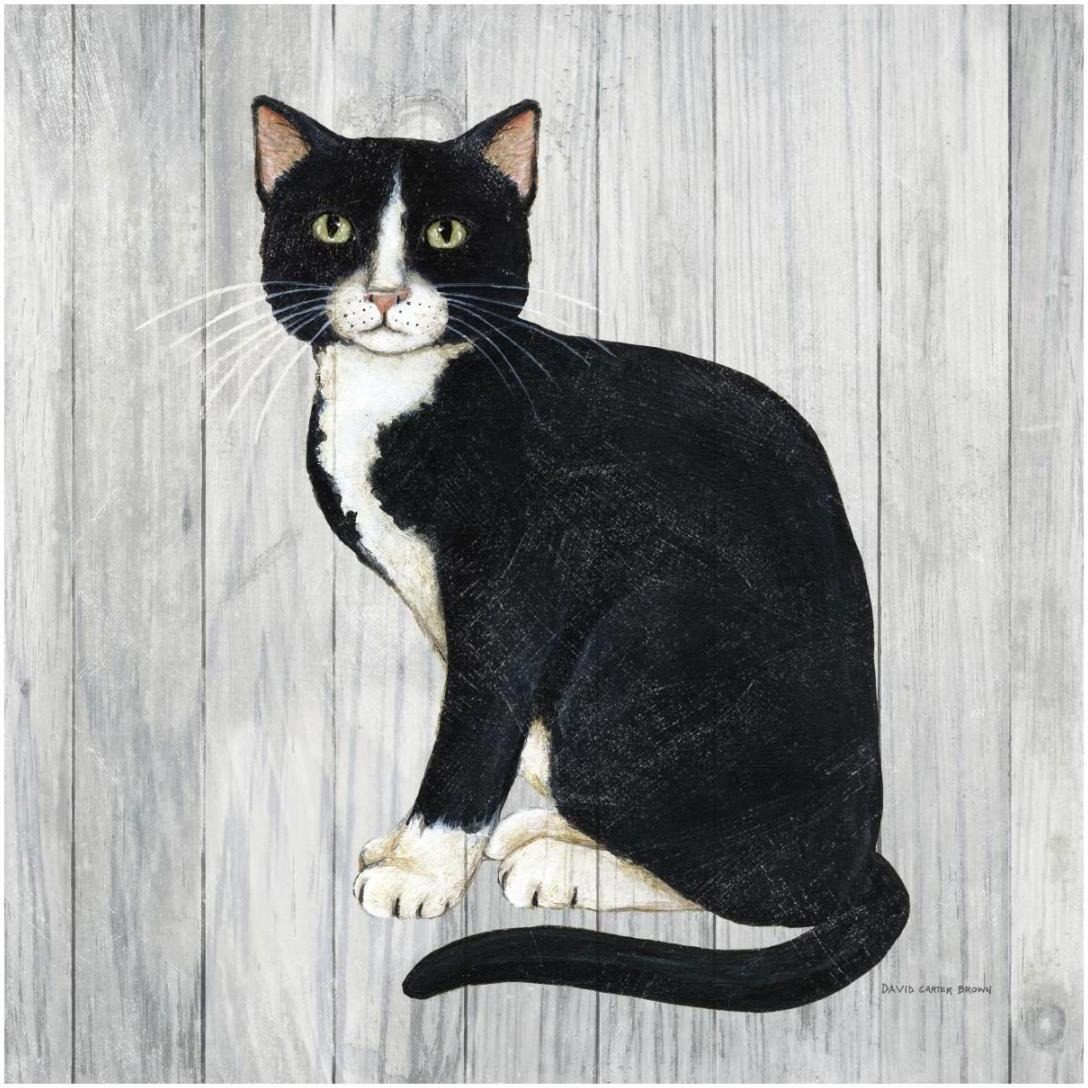 Country Kitty I on Wood -Paper Art-20&quotx20"