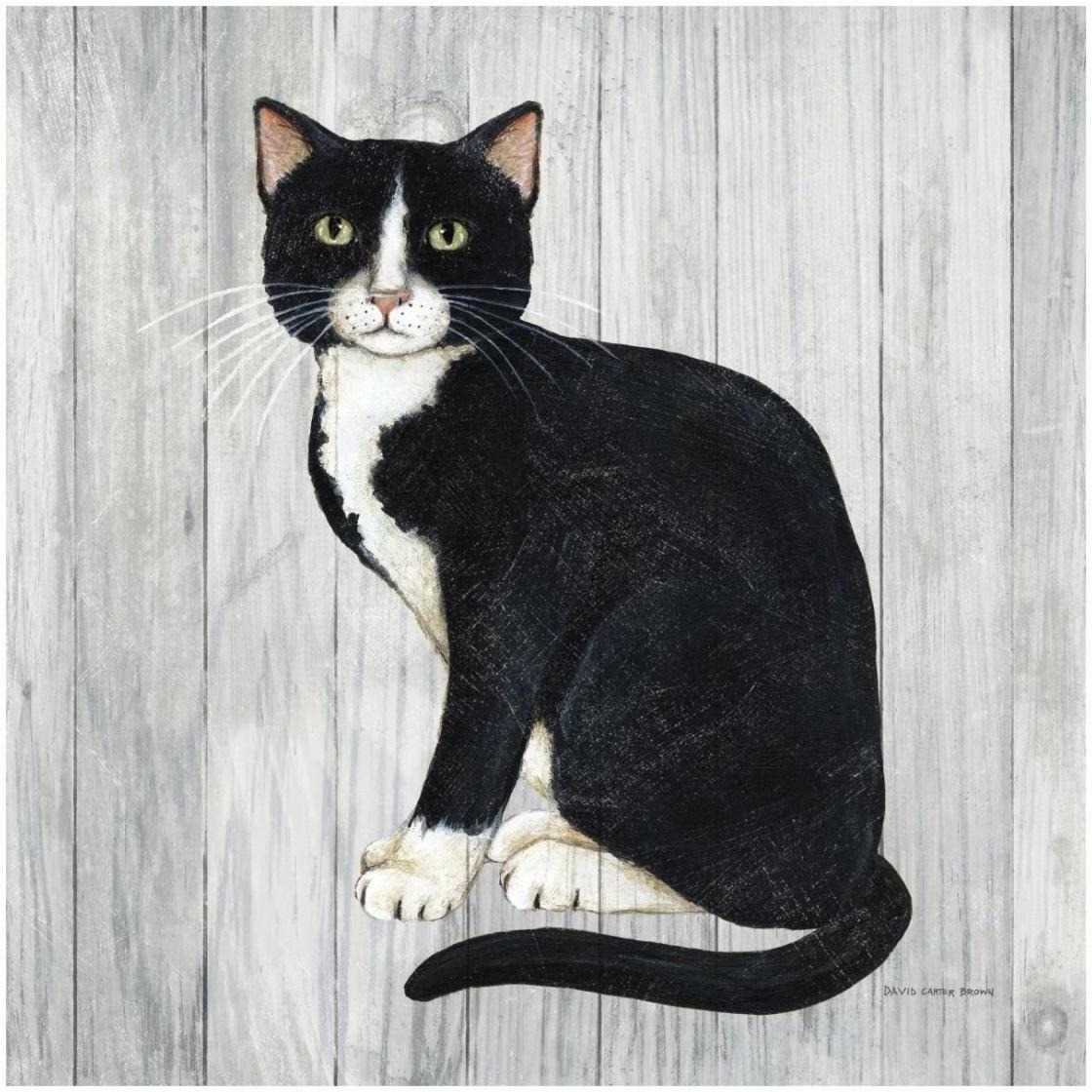 Country Kitty I on Wood -Paper Art-26&quotx26"