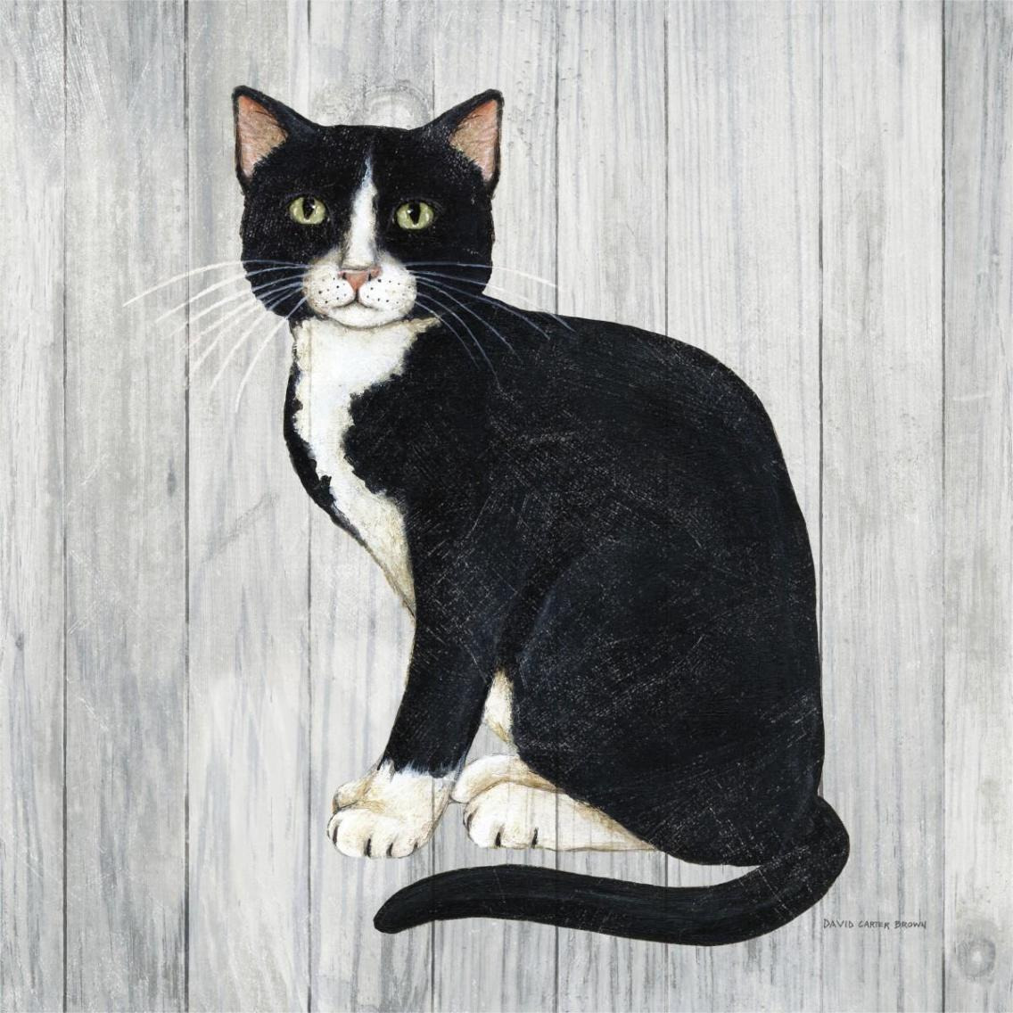 Country Kitty I on Wood -Paper Art-38&quotx38"