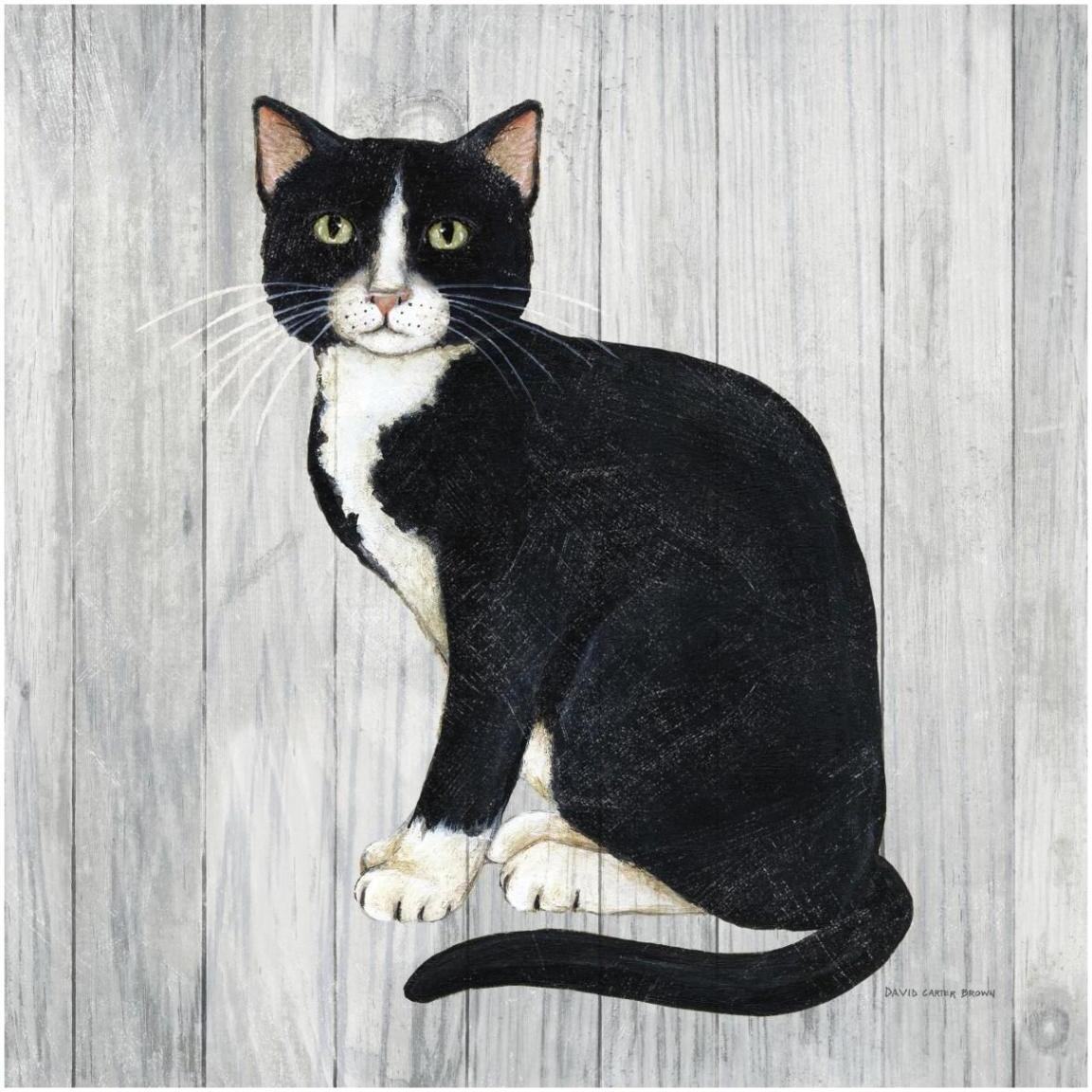 Country Kitty I on Wood -Paper Art-42&quotx42"