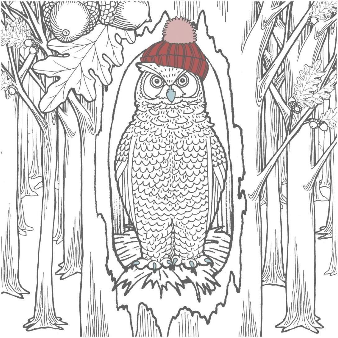 Color the Forest Color V -Paper Art-20&quotx20"
