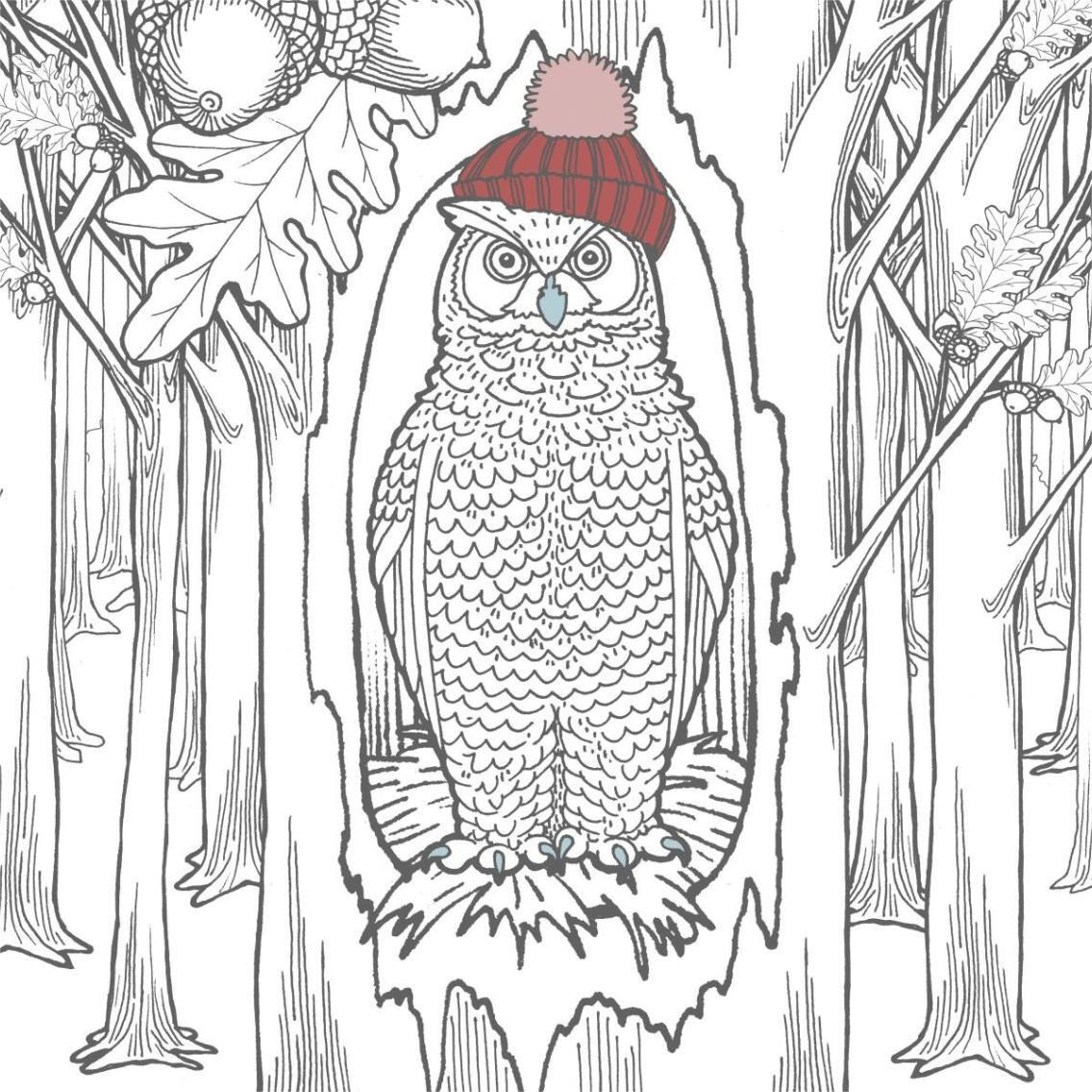 Color the Forest Color V -Paper Art-38&quotx38"