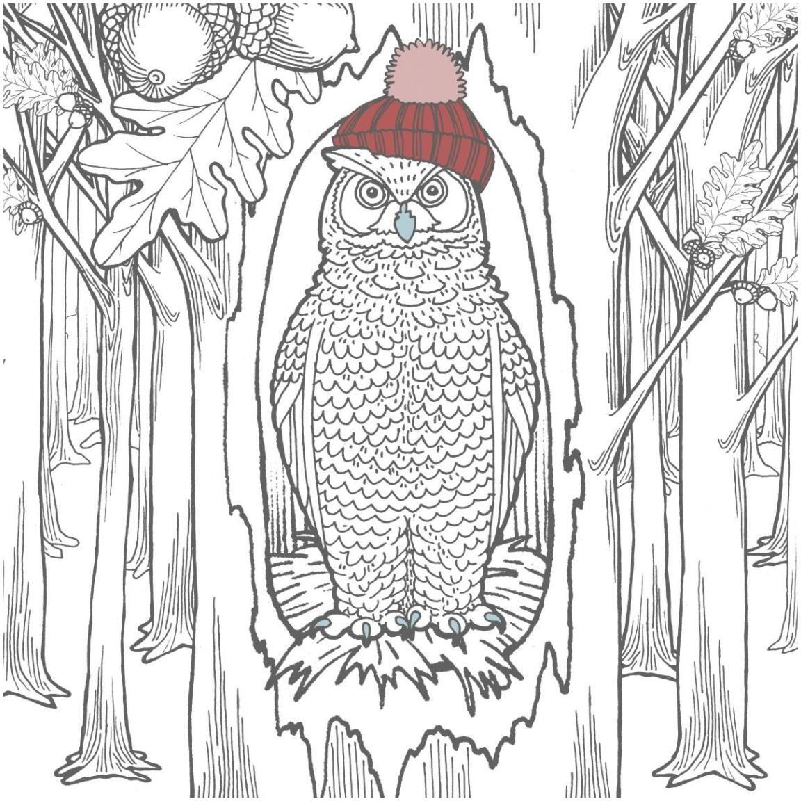 Color the Forest Color V -Paper Art-42&quotx42"