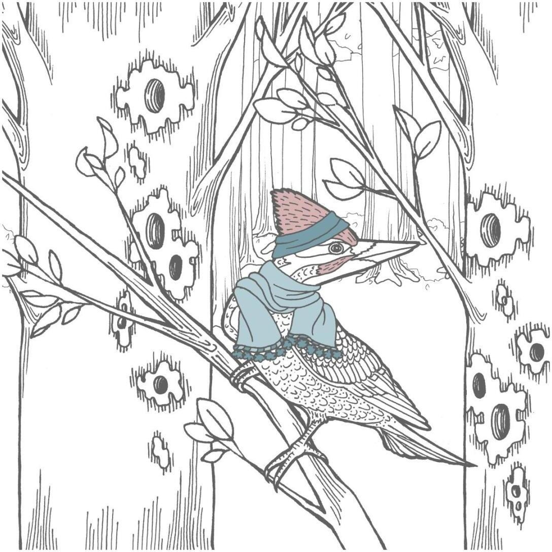 Color the Forest Color XII -Paper Art-20&quotx20"