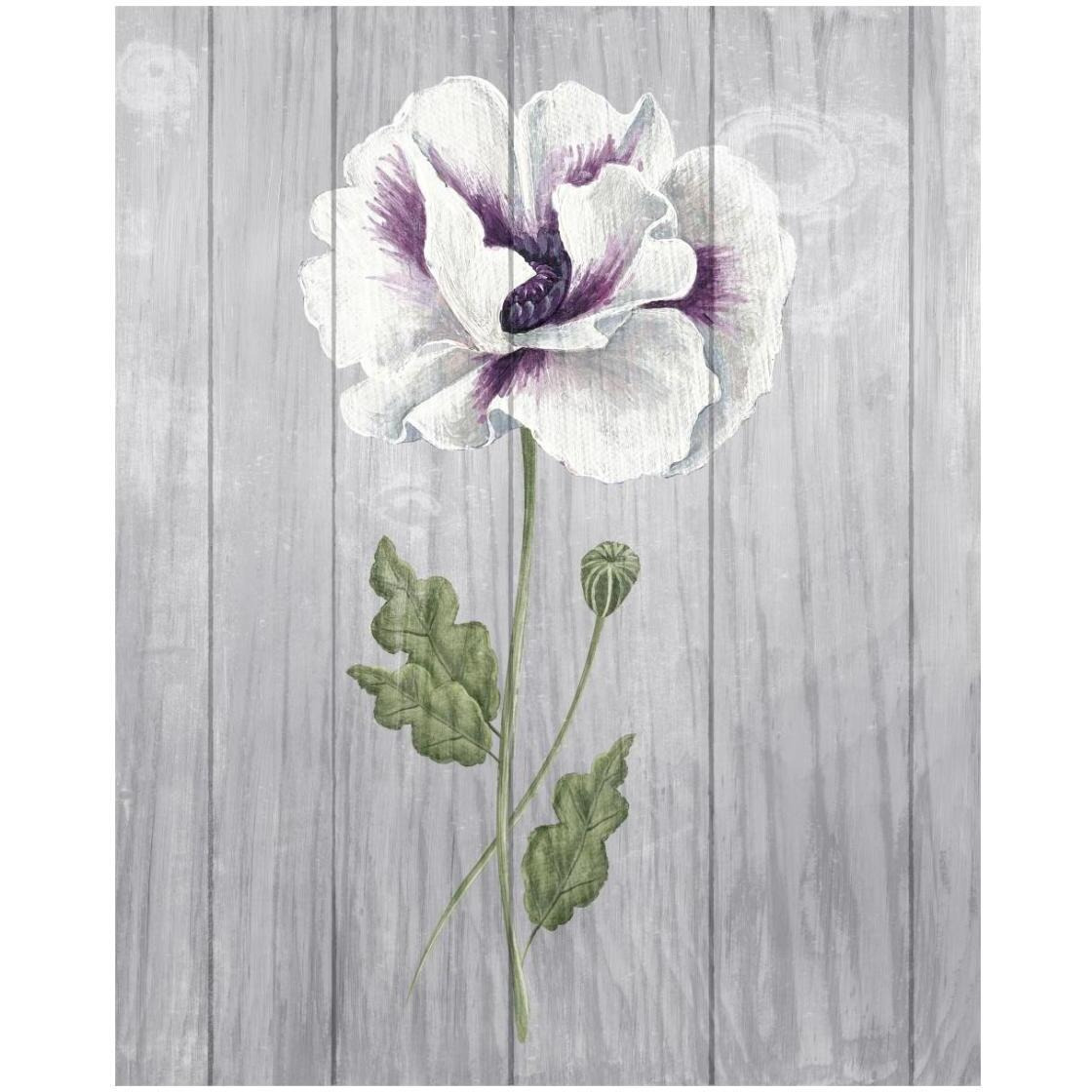 Poppy I -Paper Art-22&quotx26"