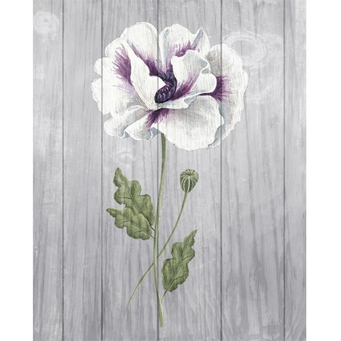 Poppy I -Paper Art-24&quotx30"