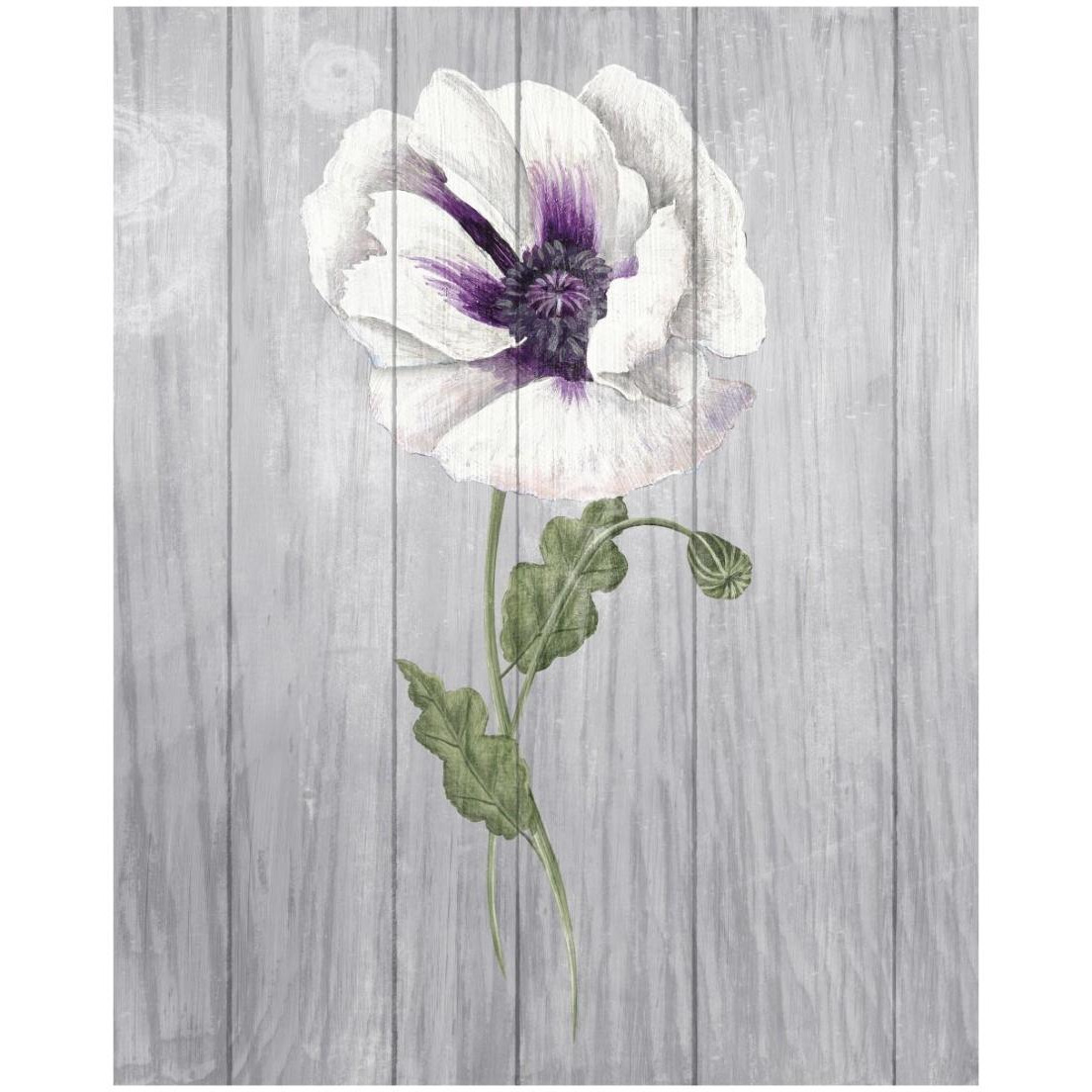 Poppy II -Paper Art-18&quotx22"