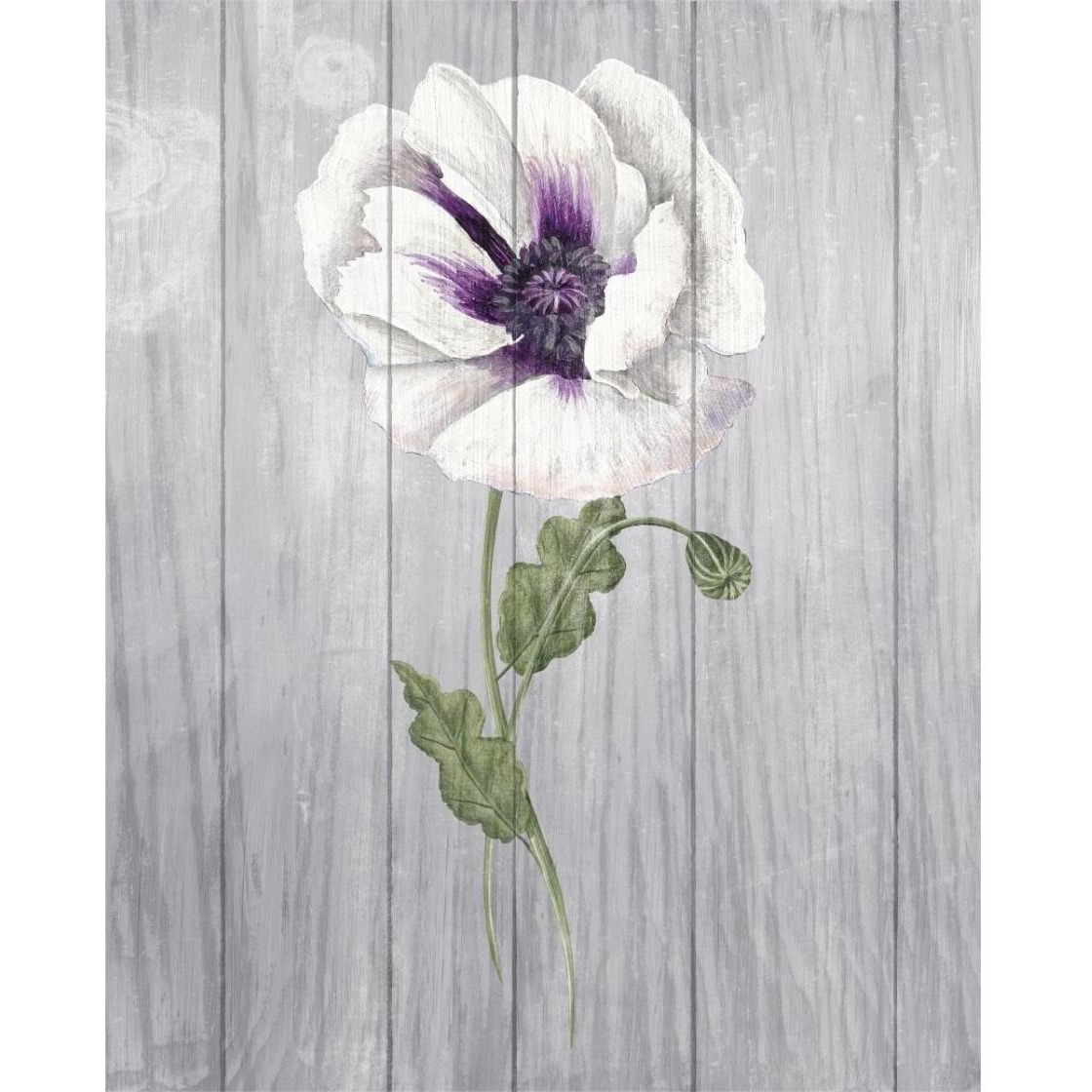 Poppy II -Paper Art-24&quotx30"