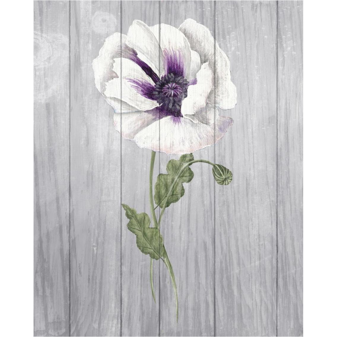 Poppy II -Paper Art-30&quotx37"