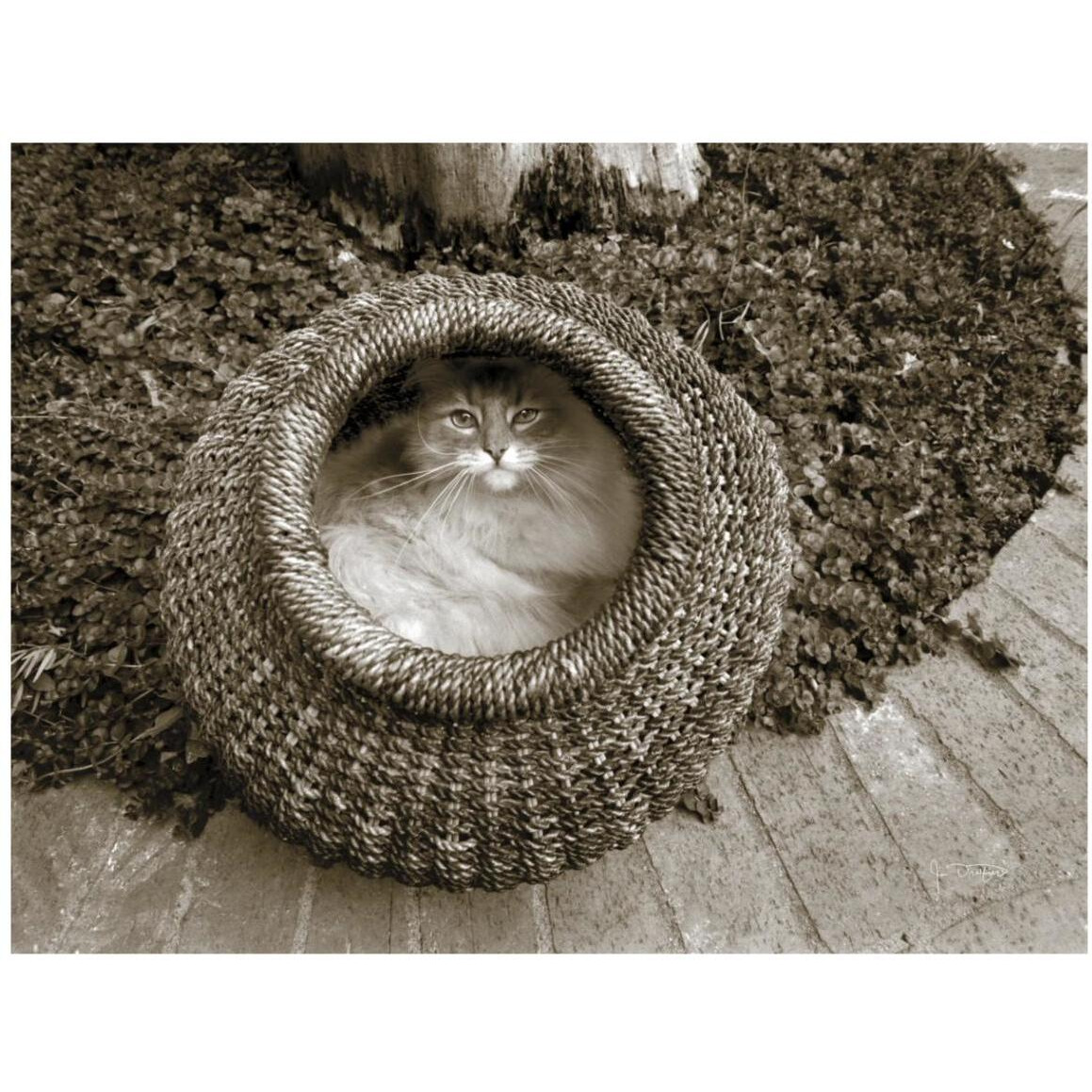 Cat in a Basket -Paper Art-42&quotx32"