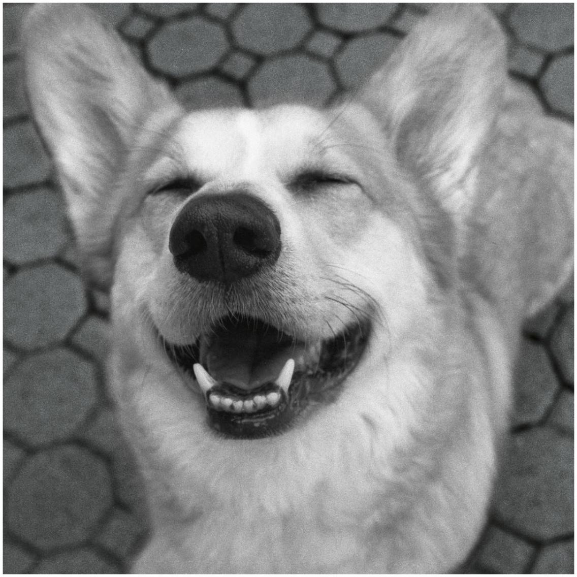 Smile and The World Smiles with You Crop Dark -Paper Art-32&quotx32"