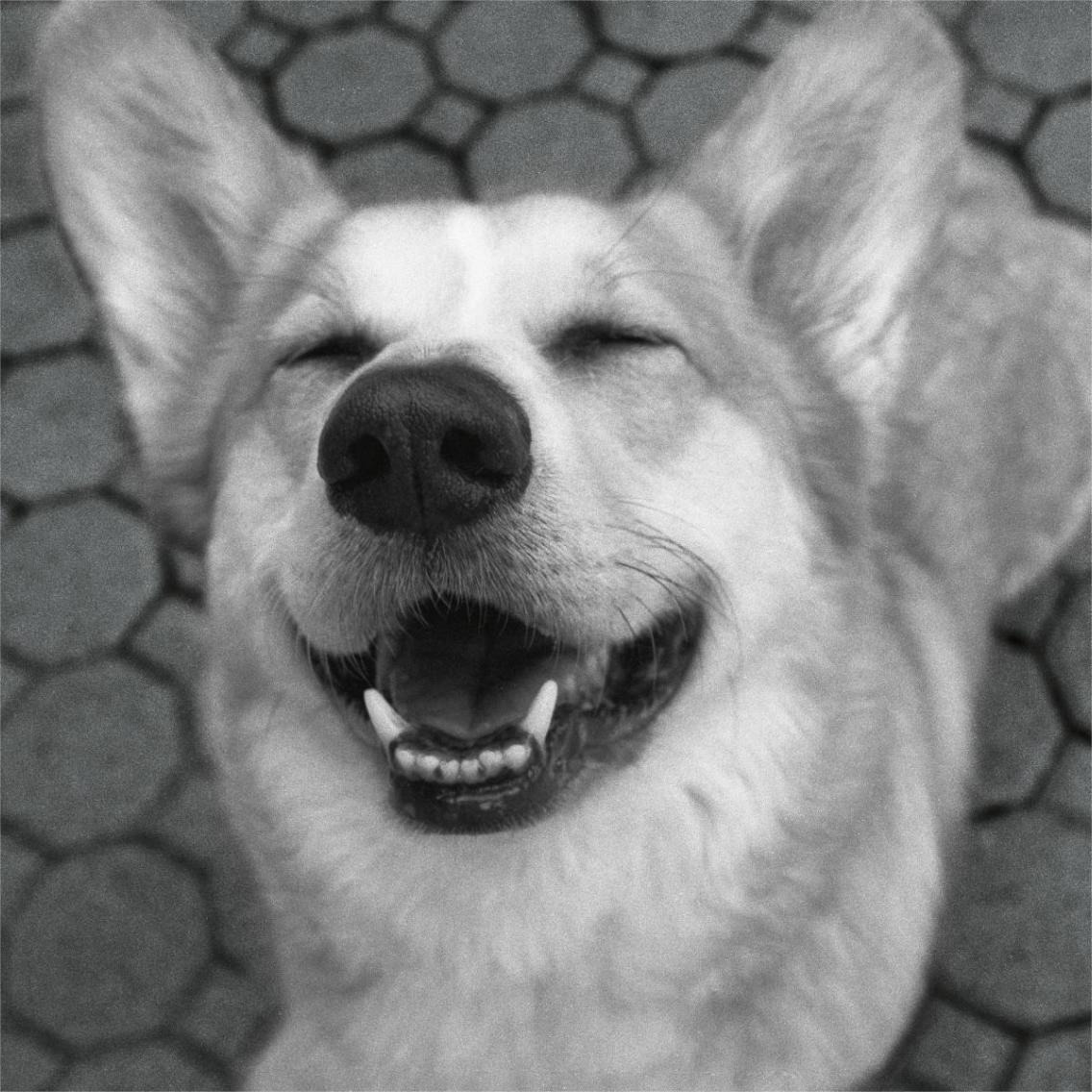 Smile and The World Smiles with You Crop Dark -Paper Art-38&quotx38"