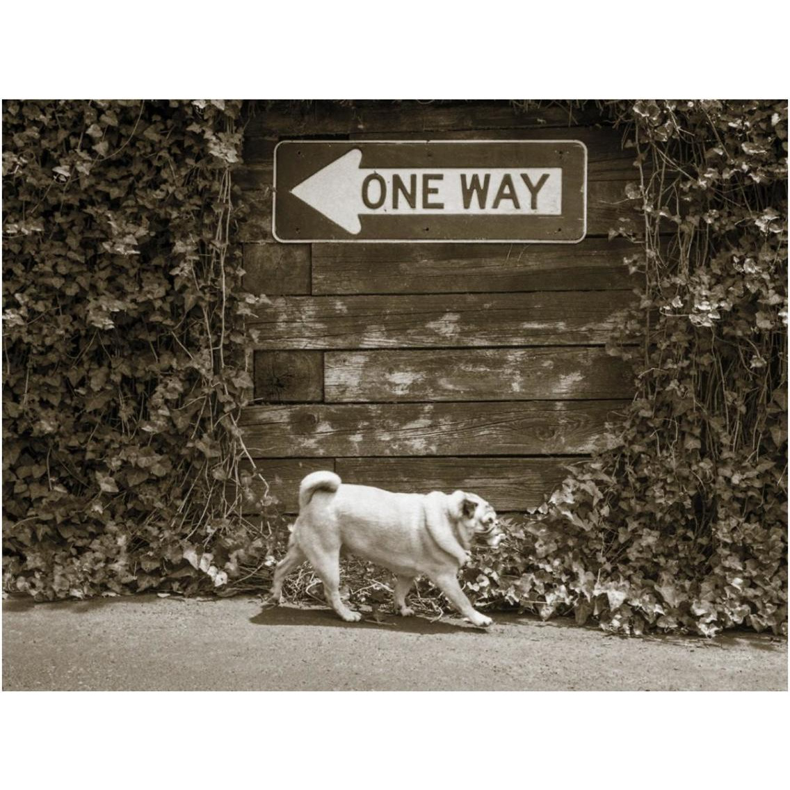 Which Way -Paper Art-18&quotx14"