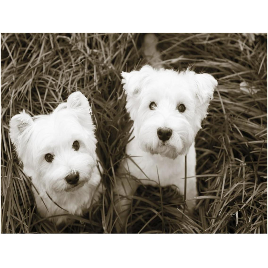 Such Cuties -Paper Art-18&quotx14"