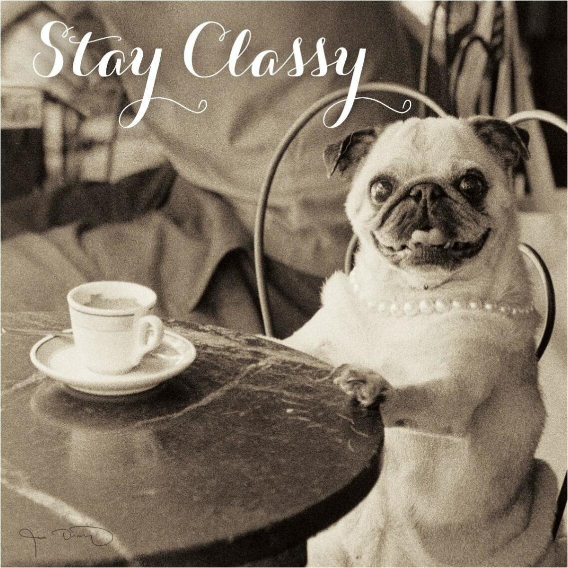 Cafe Pug Stay Classy -Paper Art-38&quotx38"