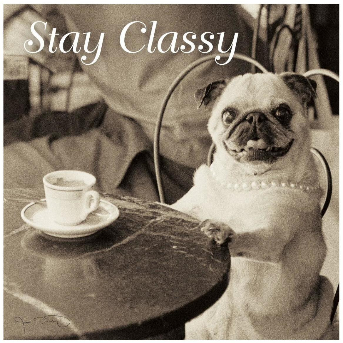 Cafe Pug Stay Classy V2 -Paper Art-42&quotx42"
