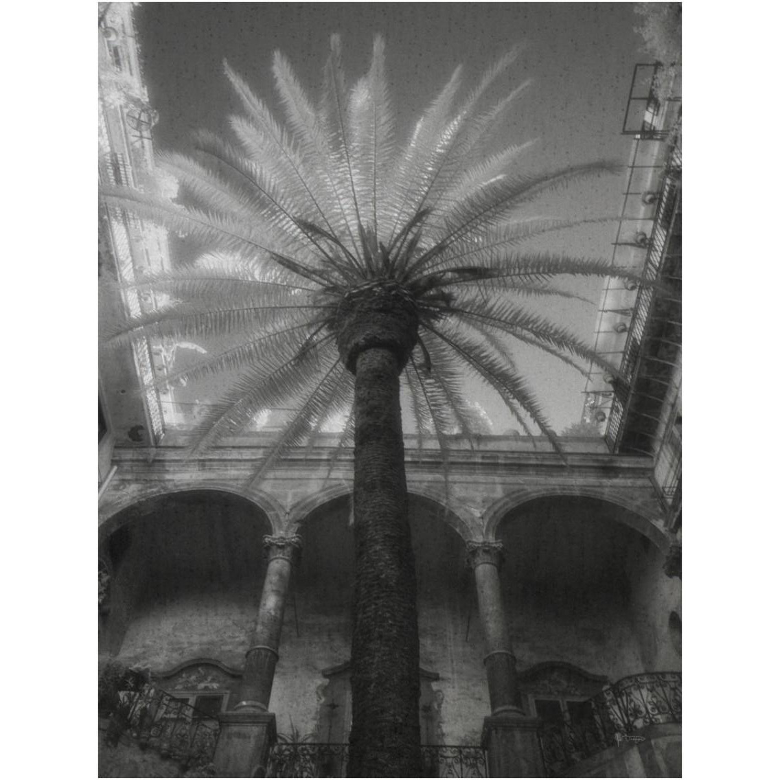 Palermo -Paper Art-14&quotx18"