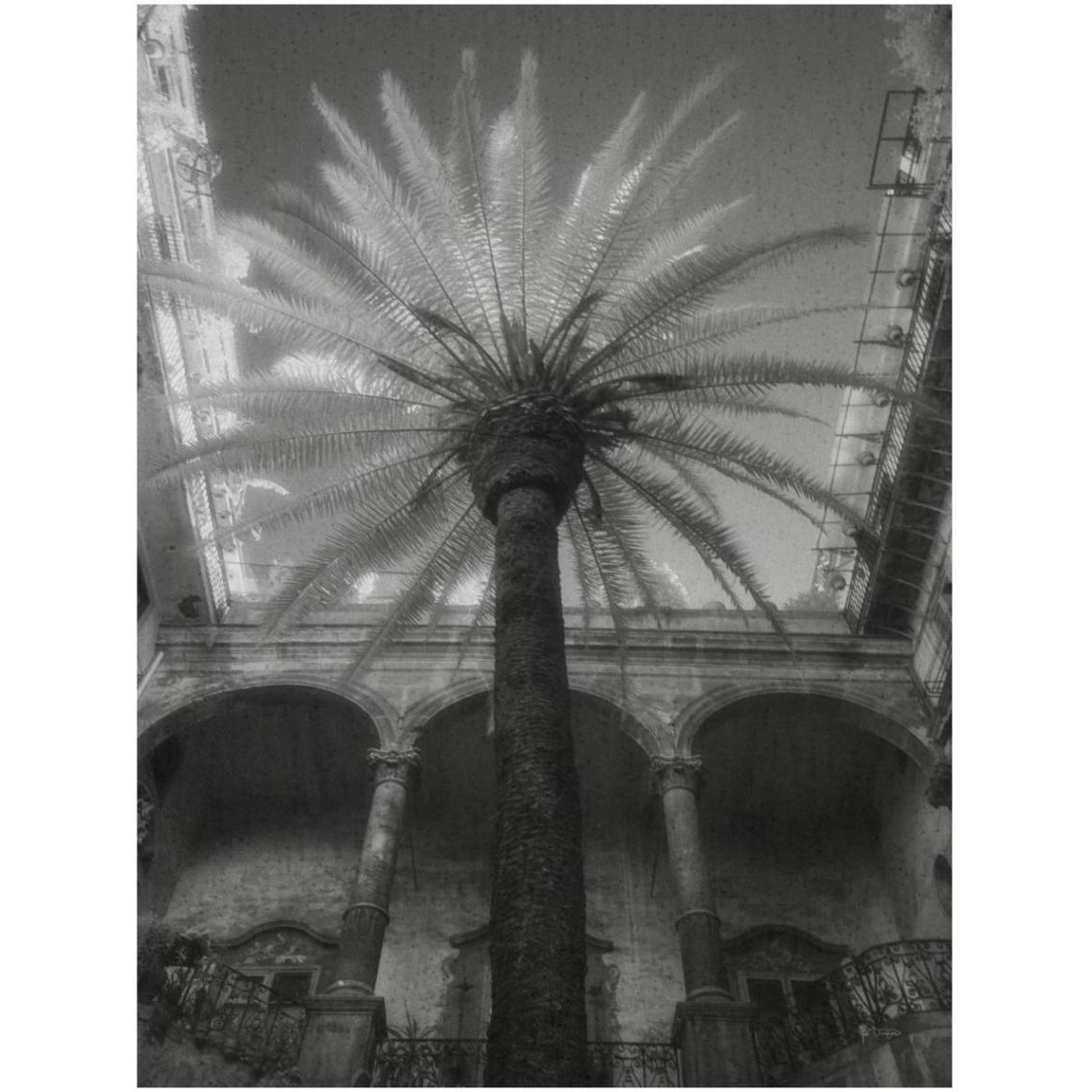 Palermo -Paper Art-32&quotx42"