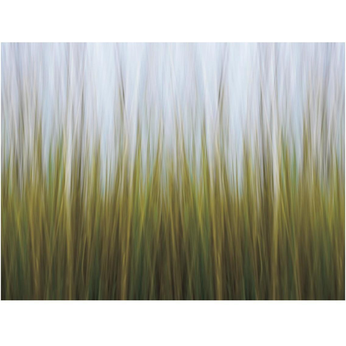 Sea Grass Canvas -Paper Art-18&quotx14"