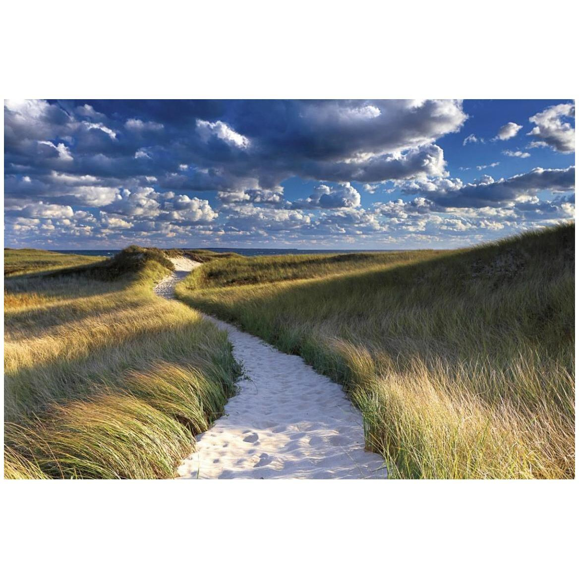 Philbin Beach Path -Paper Art-50&quotx34"