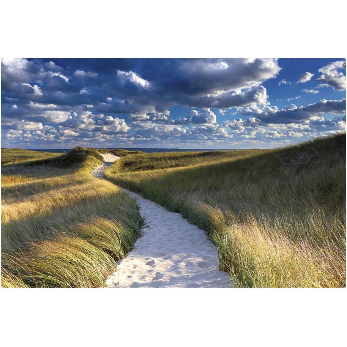 Philbin Beach Path -Paper Art-62&quotx42"