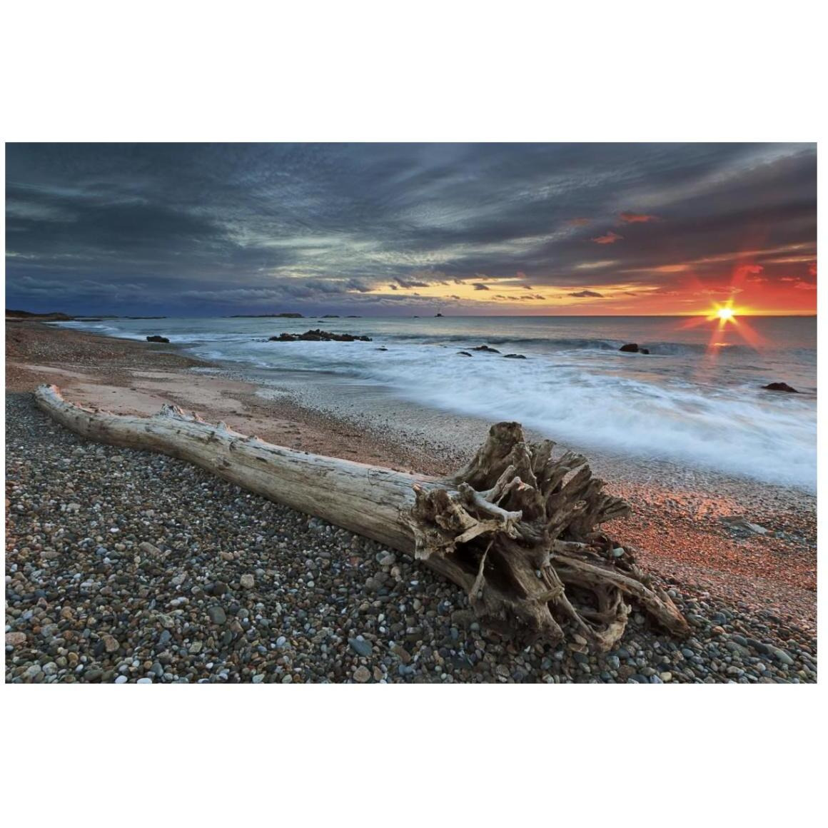 Sakonnet Driftwood -Paper Art-20&quotx14"