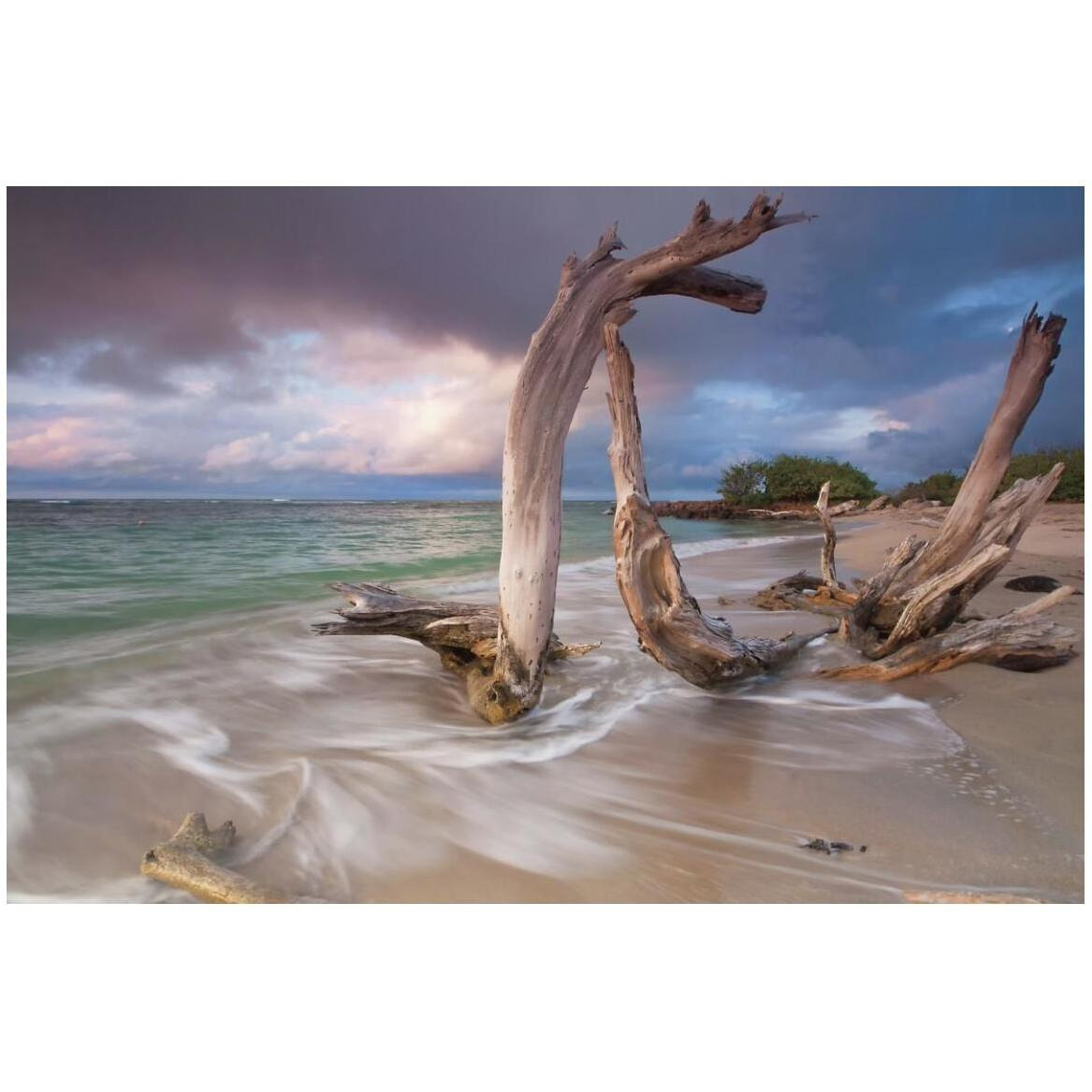 Driftwood Sunset -Paper Art-50&quotx34"