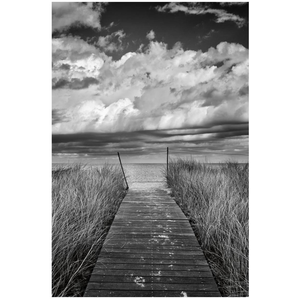 Oak Bluffs Beach Path -Paper Art-14&quotx20"