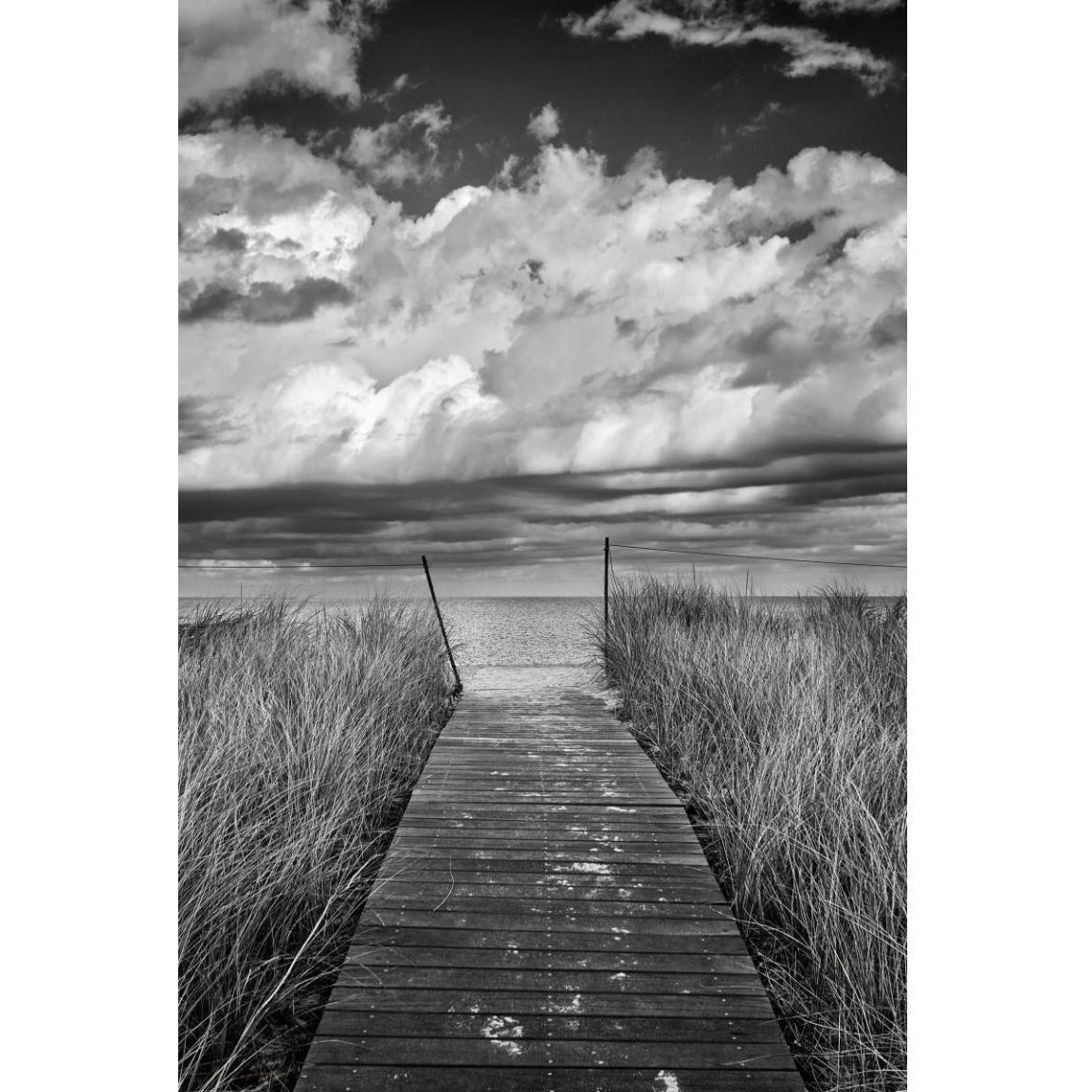Oak Bluffs Beach Path -Paper Art-34&quotx50"
