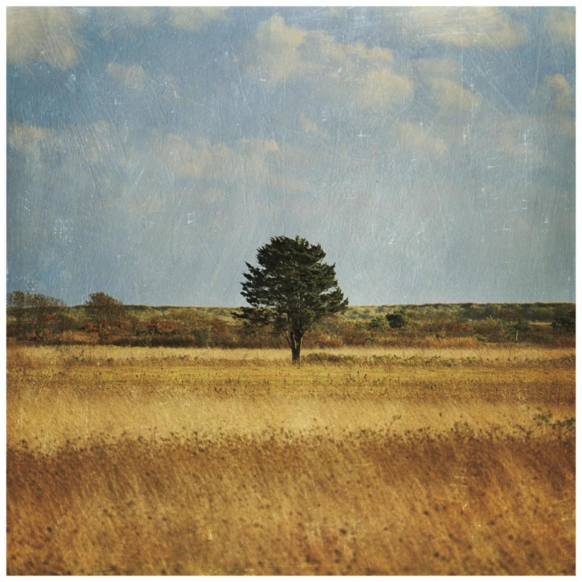 The Lonely Tree -Paper Art-42&quotx42"