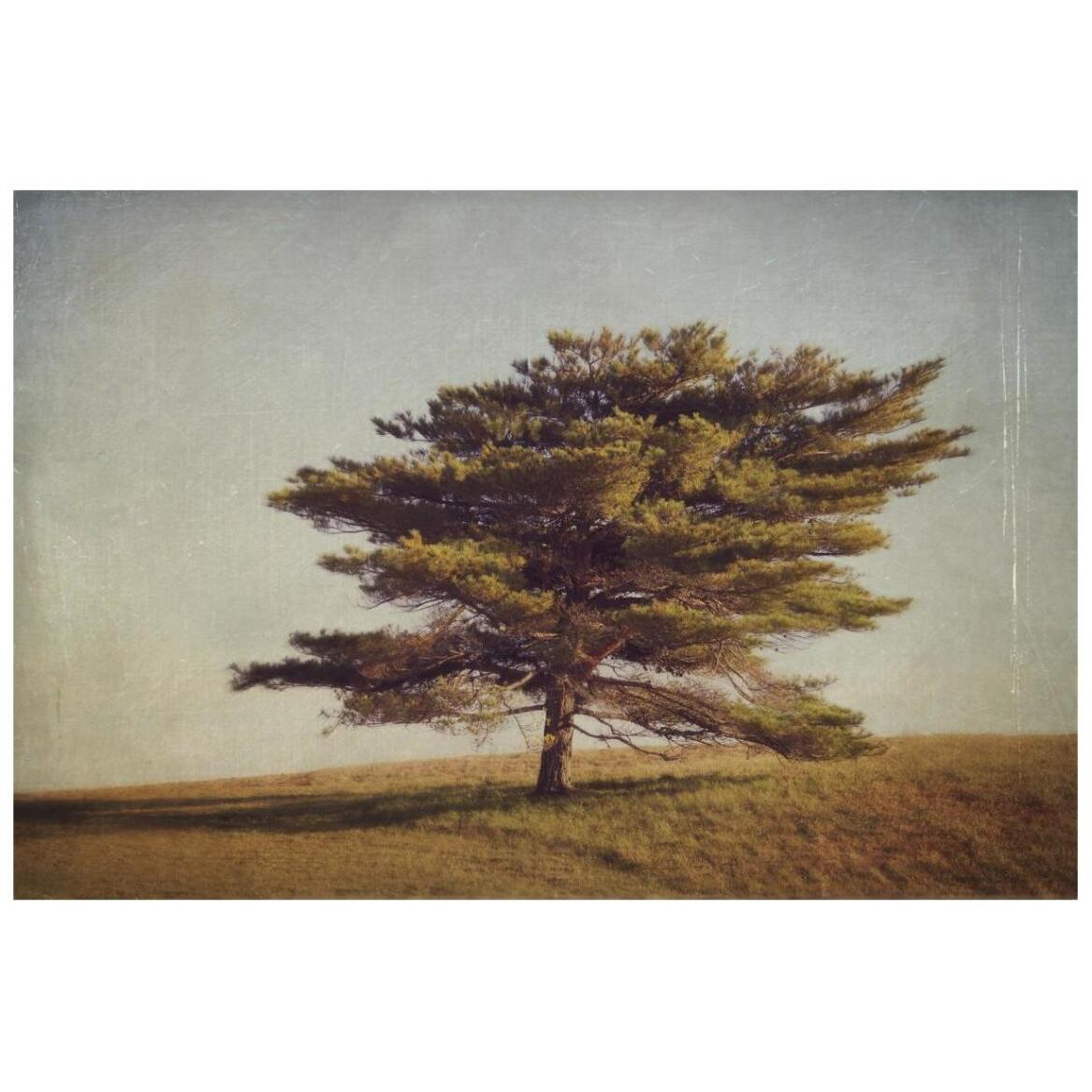 Windward Tree -Paper Art-20&quotx14"