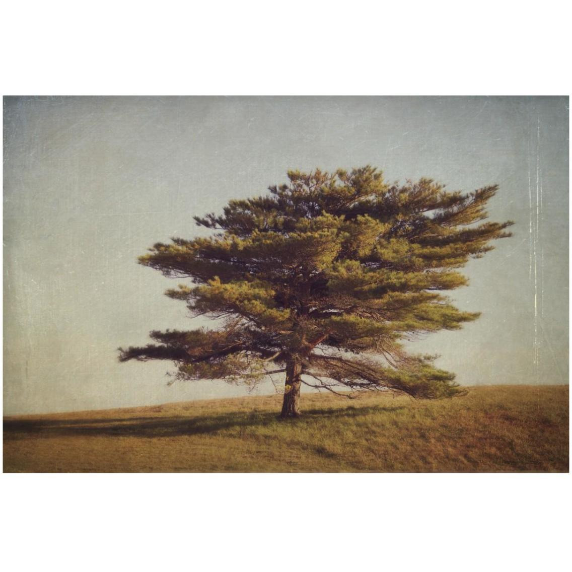 Windward Tree -Paper Art-32&quotx22"