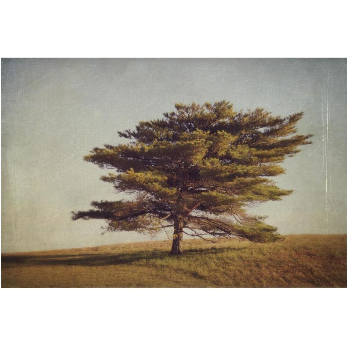 Windward Tree -Paper Art-50&quotx34"