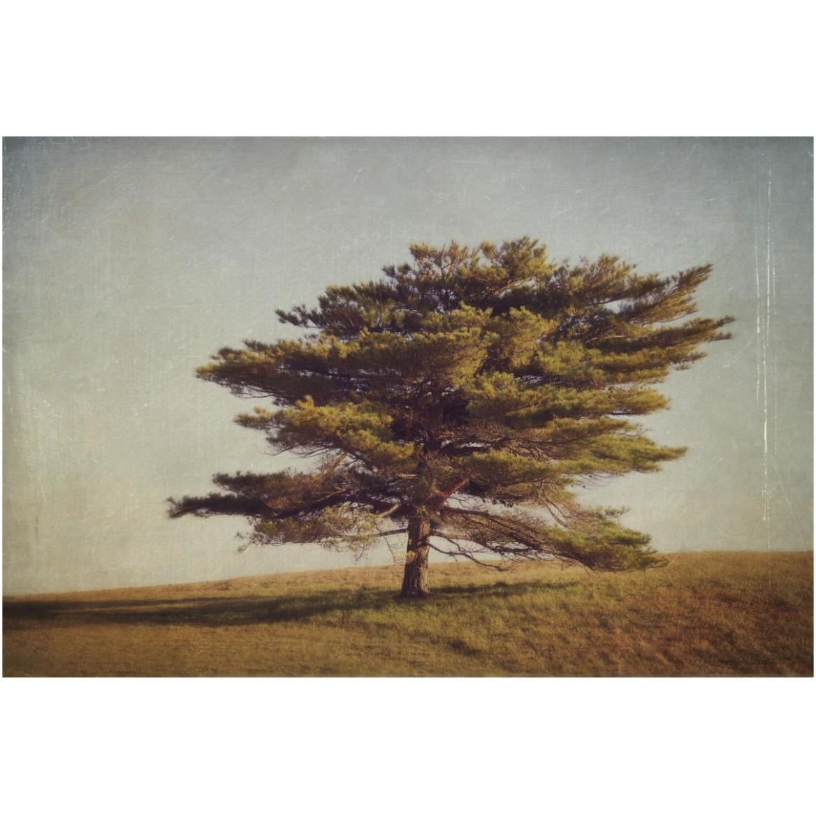 Windward Tree -Paper Art-62&quotx42"