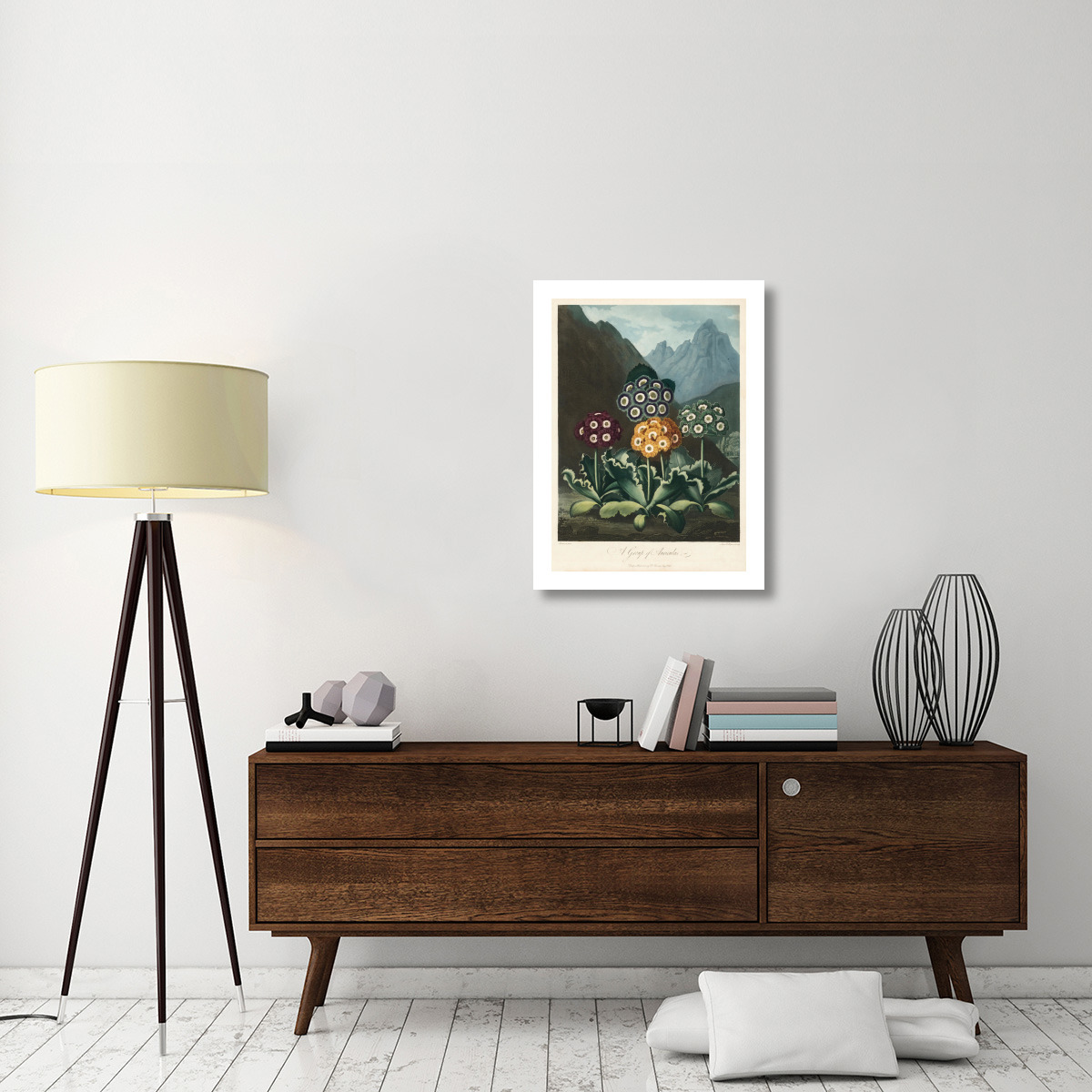A Group of Auriculas, 1803 -Paper Art-23.429&quotx32"