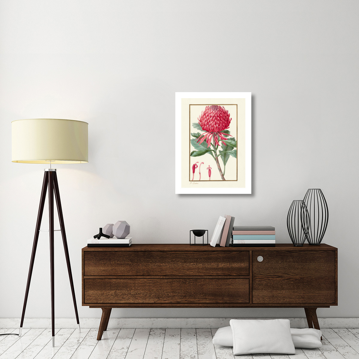 Waratah, about 1828 -Paper Art-23.429&quotx32"