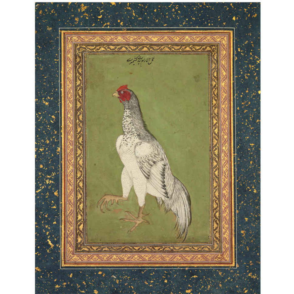 Fighting Cock, c.1620 -Paper Art-14.403&quotx18"