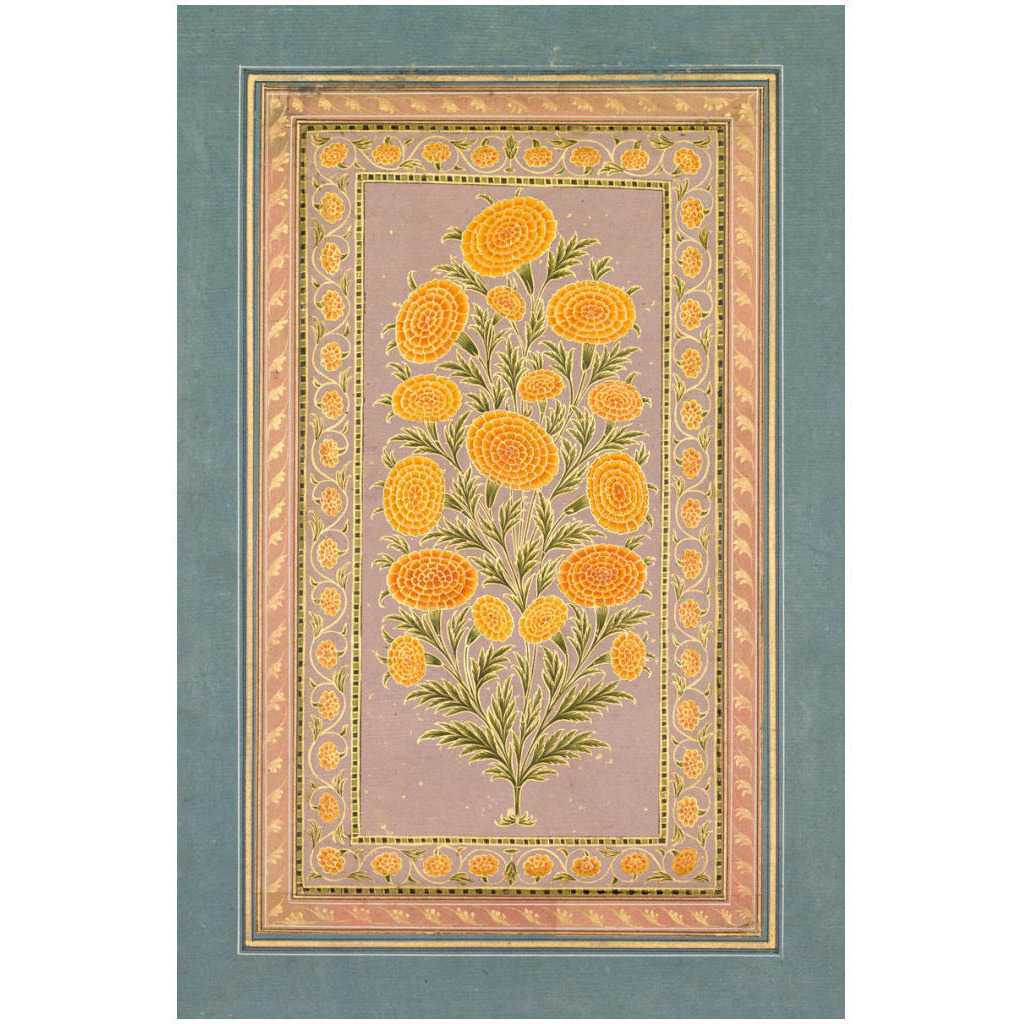 Flowering Marigold, c. 1765 -Paper Art-16.474&quotx24"
