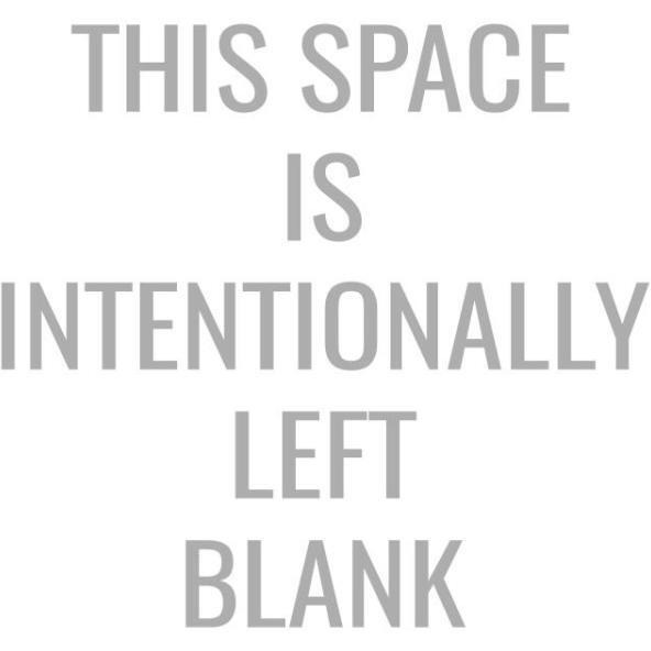 This Space Is Intentionally Left Blank -Paper Art-32&quotx32"