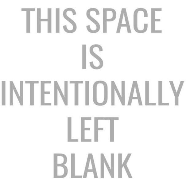 This Space Is Intentionally Left Blank -Paper Art-38&quotx38"