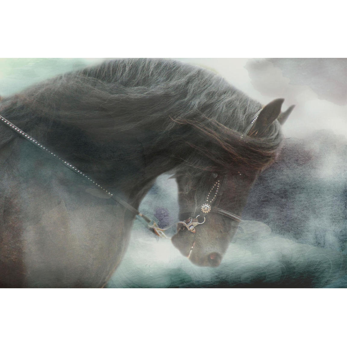 Watercolor Black -Paper Art-50&quotx34"