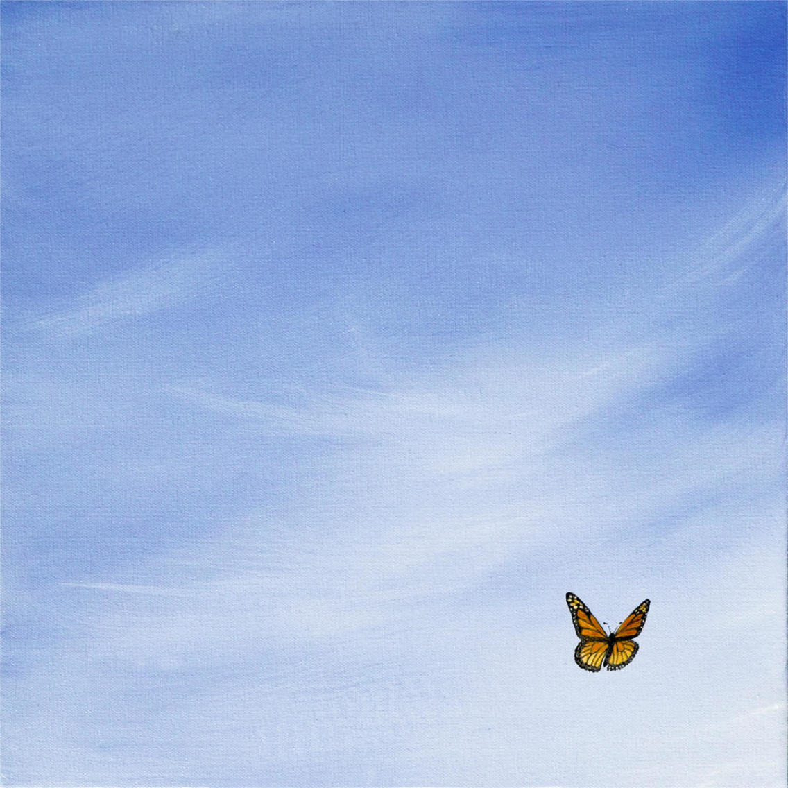 Big Sky Square Butterfly -Paper Art-38&quotx38"