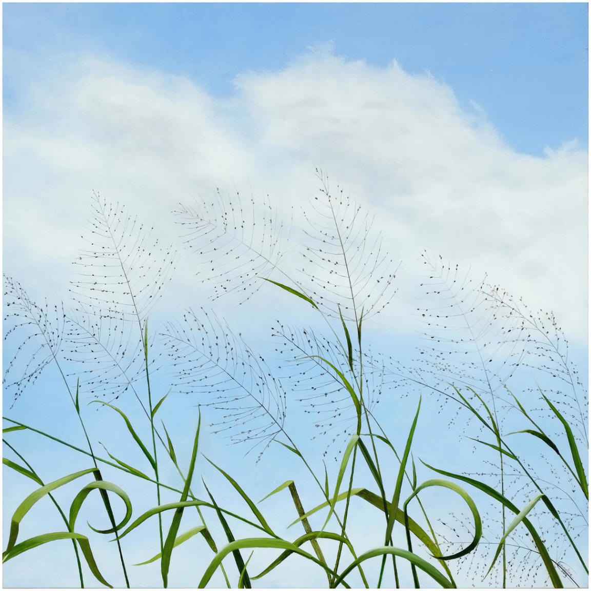 XOXO From Maui -Paper Art-42&quotx42"