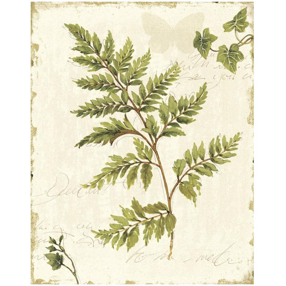 Ivies and Ferns I no Dragonfly -Paper Art-18&quotx22"