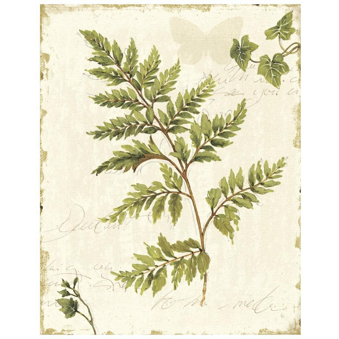 Ivies and Ferns I no Dragonfly -Paper Art-22&quotx26"