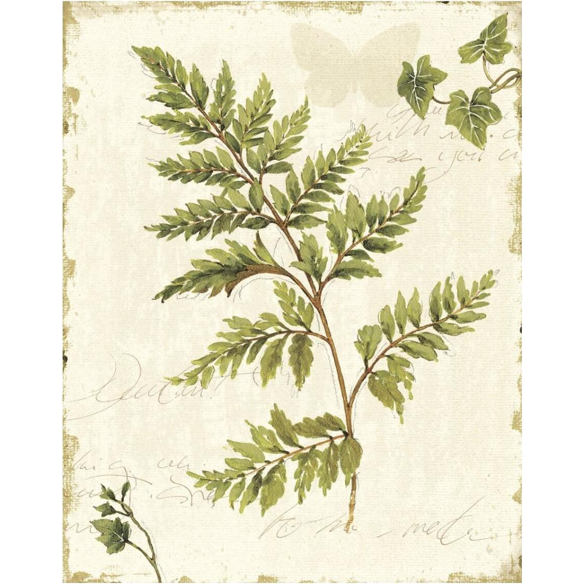 Ivies and Ferns I no Dragonfly -Paper Art-30&quotx37"
