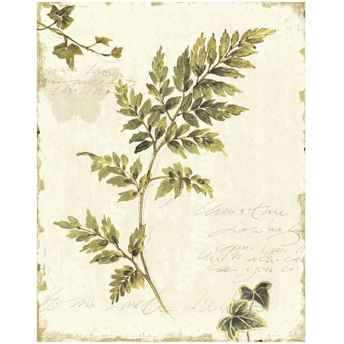 Ivies and Ferns III no Dragonfly -Paper Art-18&quotx22"