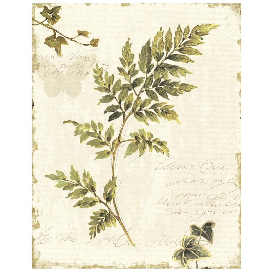Ivies and Ferns III no Dragonfly -Paper Art-22&quotx26"