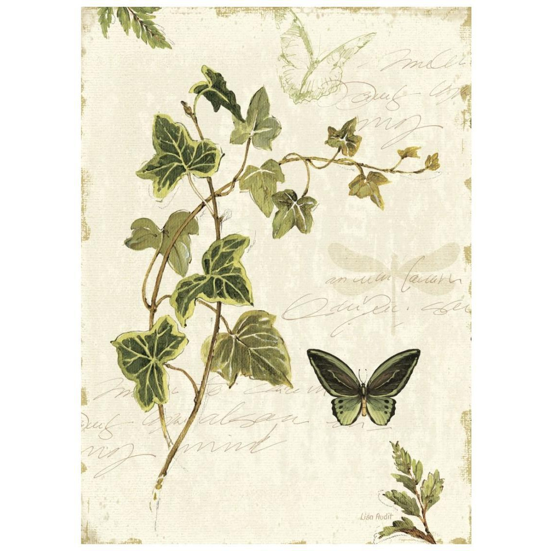 Ivies and Ferns IV -Paper Art-20&quotx26"